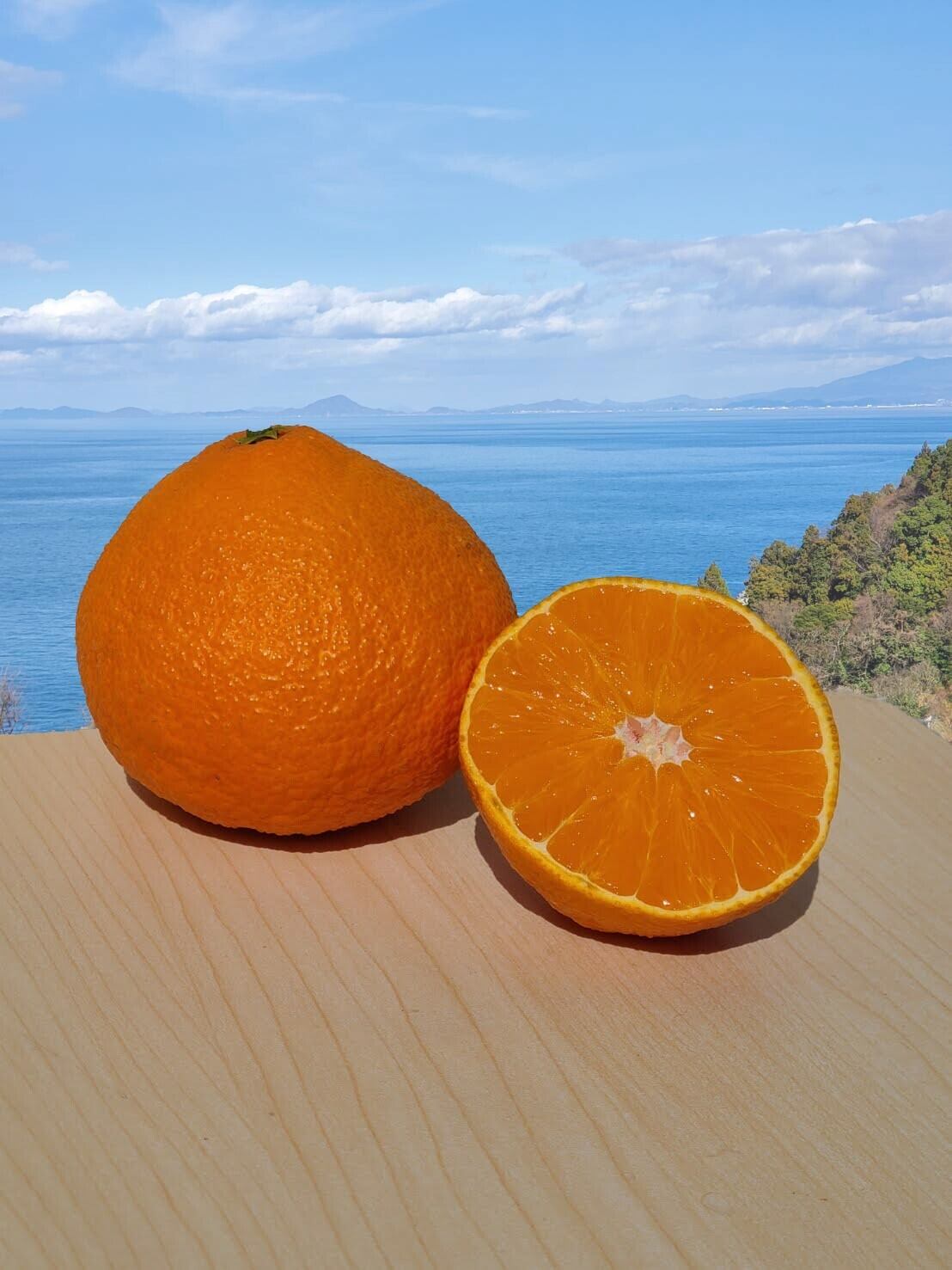 まどんなジュース(2本入り） | みねちゃんちのみかん