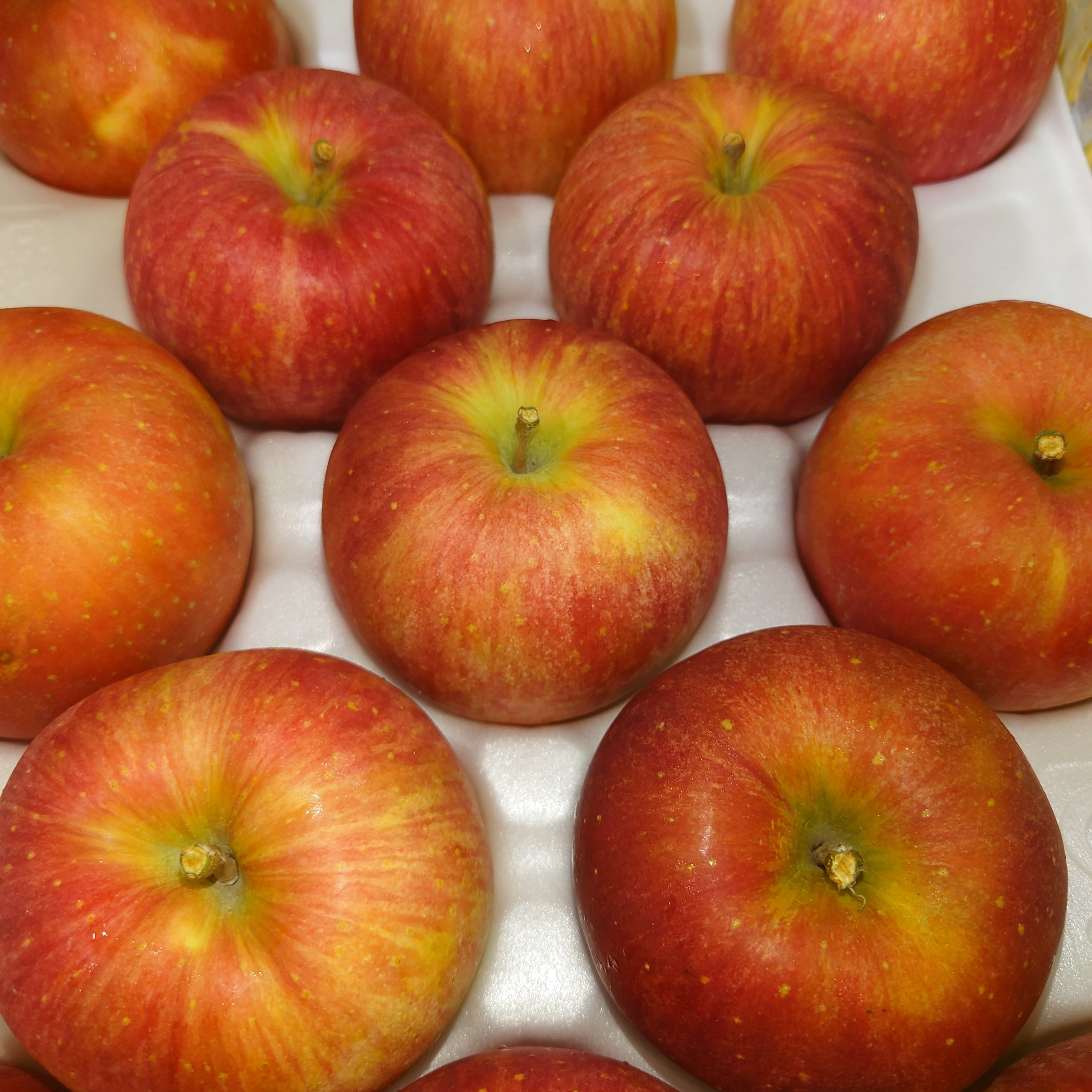 りんご様　10日 くるみの木より】 りんご販売会、今日1/10(土)から始まりました！ 12日