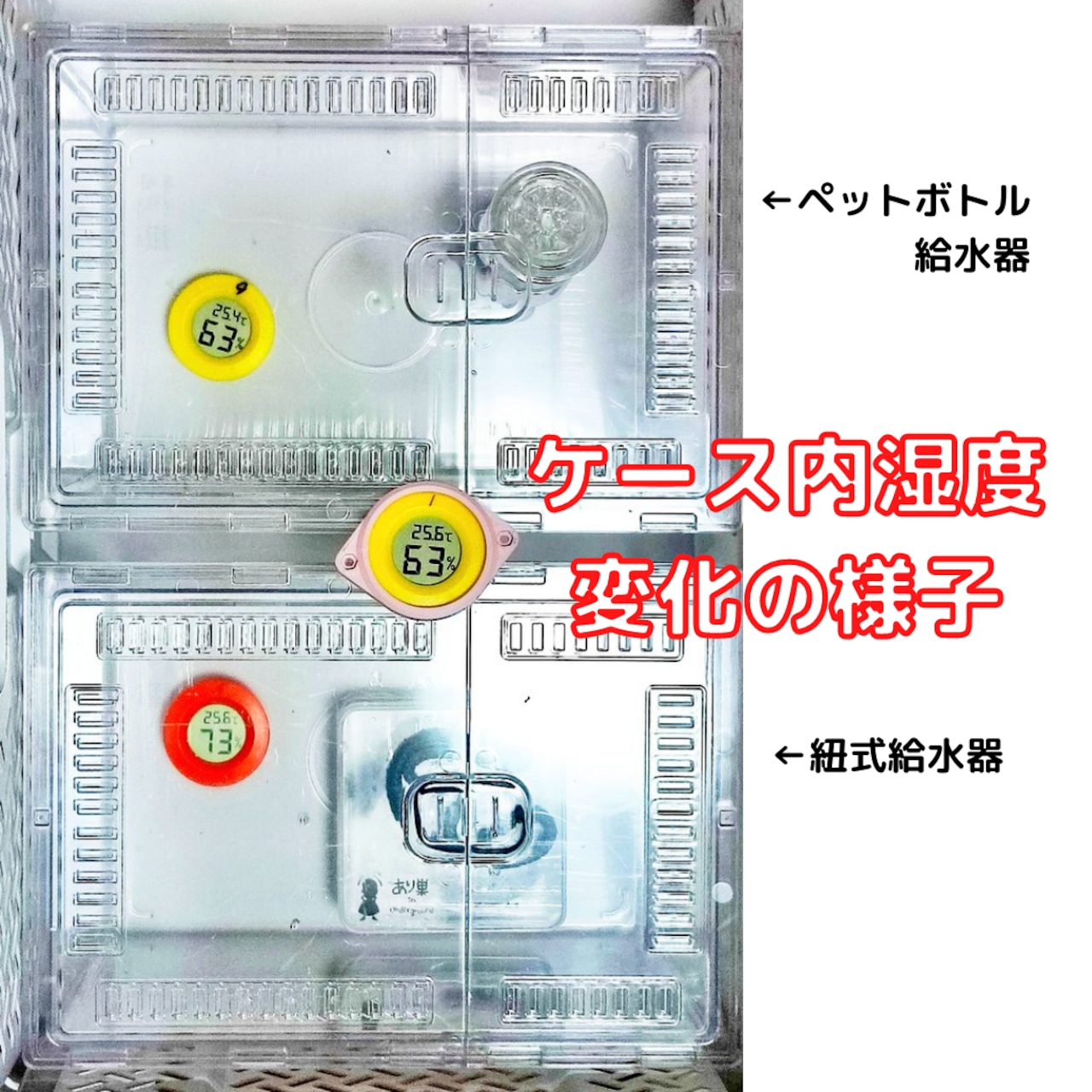 小型種向け)あり巣式ペットボトル給水器 | あり巣 in 小型種向け)あり巣式ペットボトル給水器 | あり巣 in