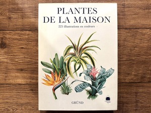 【VW179】PLANTES DE LA MAISON /visual book