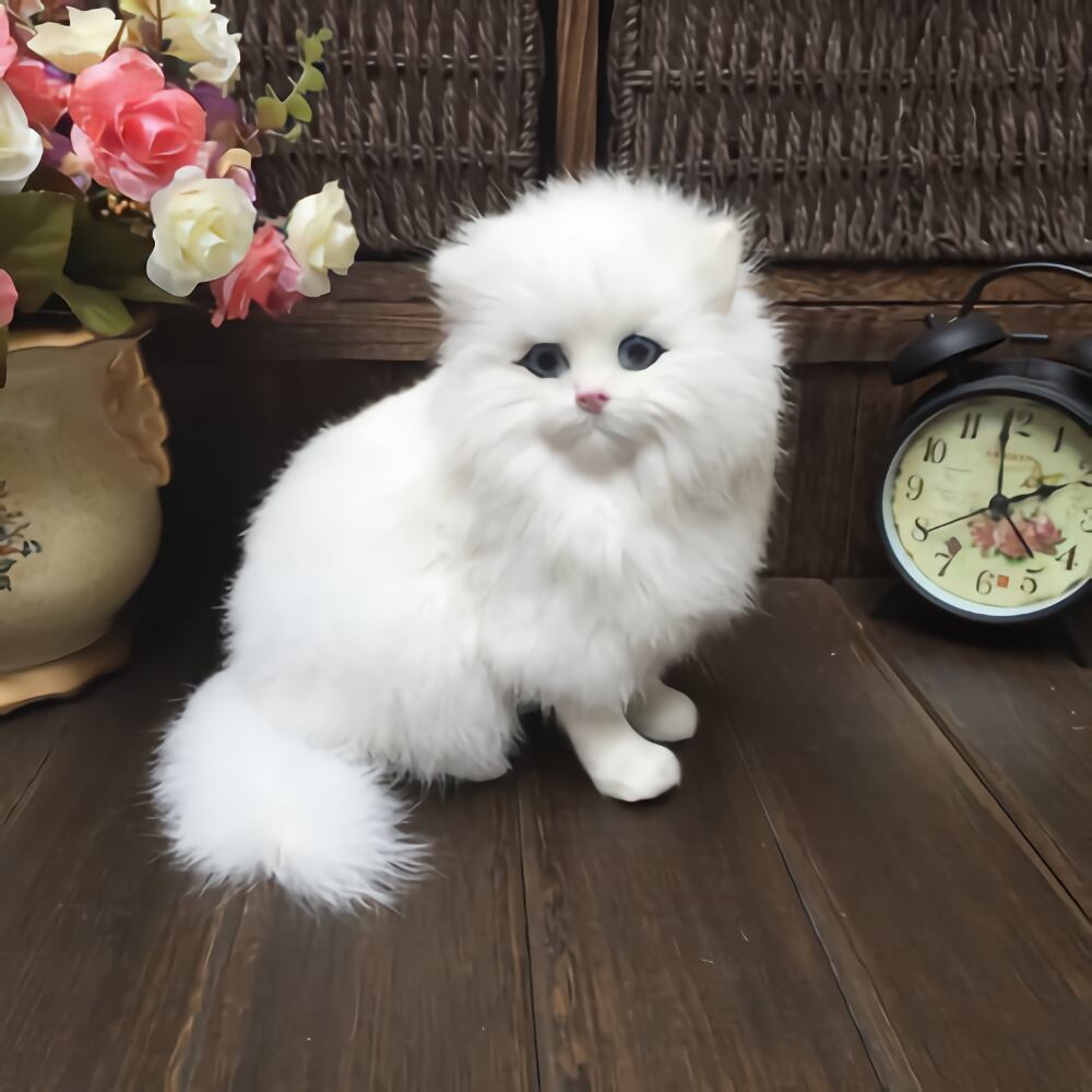 白いペルシャ猫 ぬいぐるみ ペルシャネコ 猫 どうぶつ リアル かわいい おもちゃ ネコ Mapleポッポ ハンドメイドの絵本棚 子供用家具