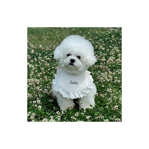 予約【curum】ラウンドレースケープ　予約販売