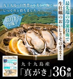 《九十九島産》冷凍 殻付き 生牡蠣 真がき 3袋36個／開け方ガイド付／マルモ水産［プロトン冷凍 冷凍食品 長期保存 生食可 送料無料 UV殺菌済 安心安全］