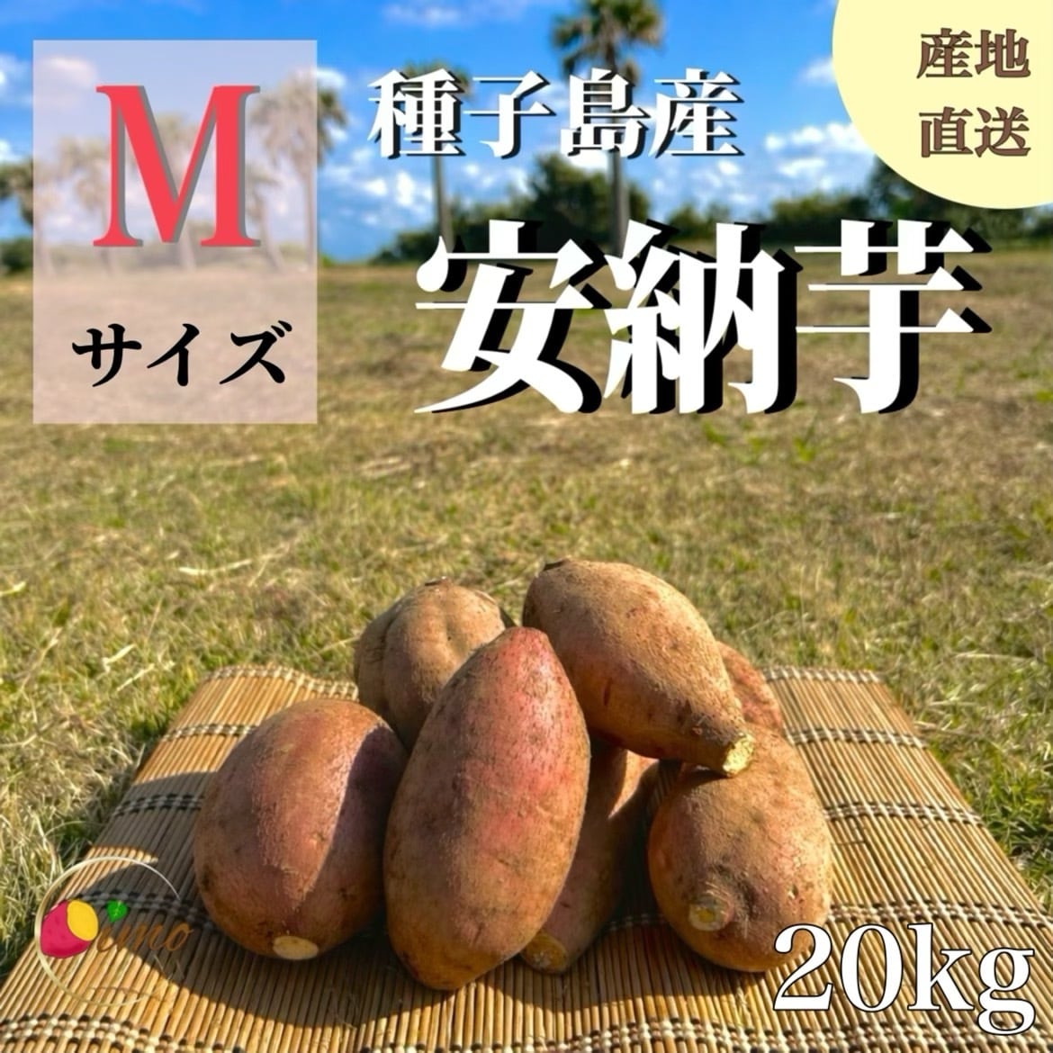 安納芋 Mサイズ 20kg｜箱別 | aimo農園