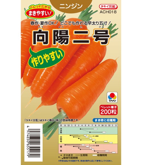 ニンジン「向陽二号」（P１万粒） 画像