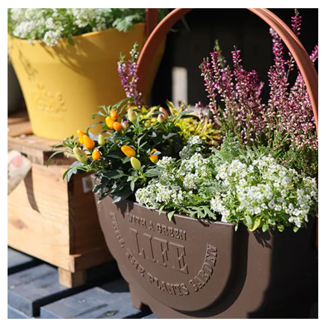 ワンハンドプランター(270型CA・ブラウン) アップルウェア ワンハンドプランターカジュアルスタイル