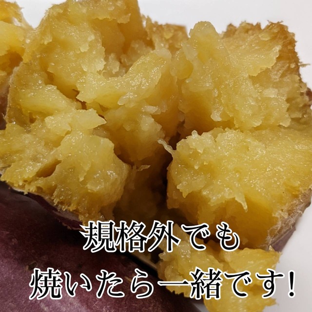 【紅あくま】焼き芋　2kg　規格外