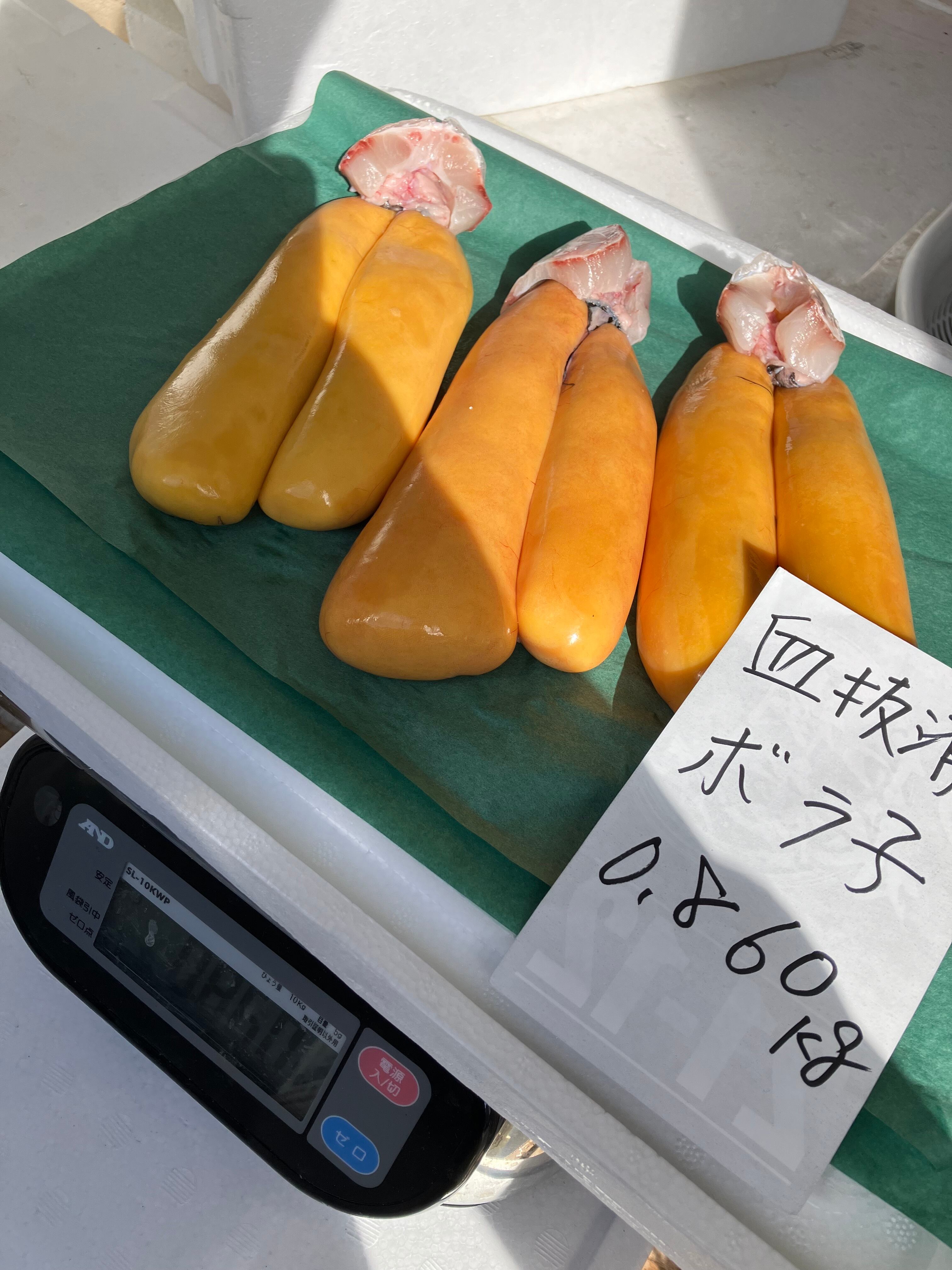 12/9小田原魚市場仕入れ　ボラ子（カラスミ原料）0.860kg