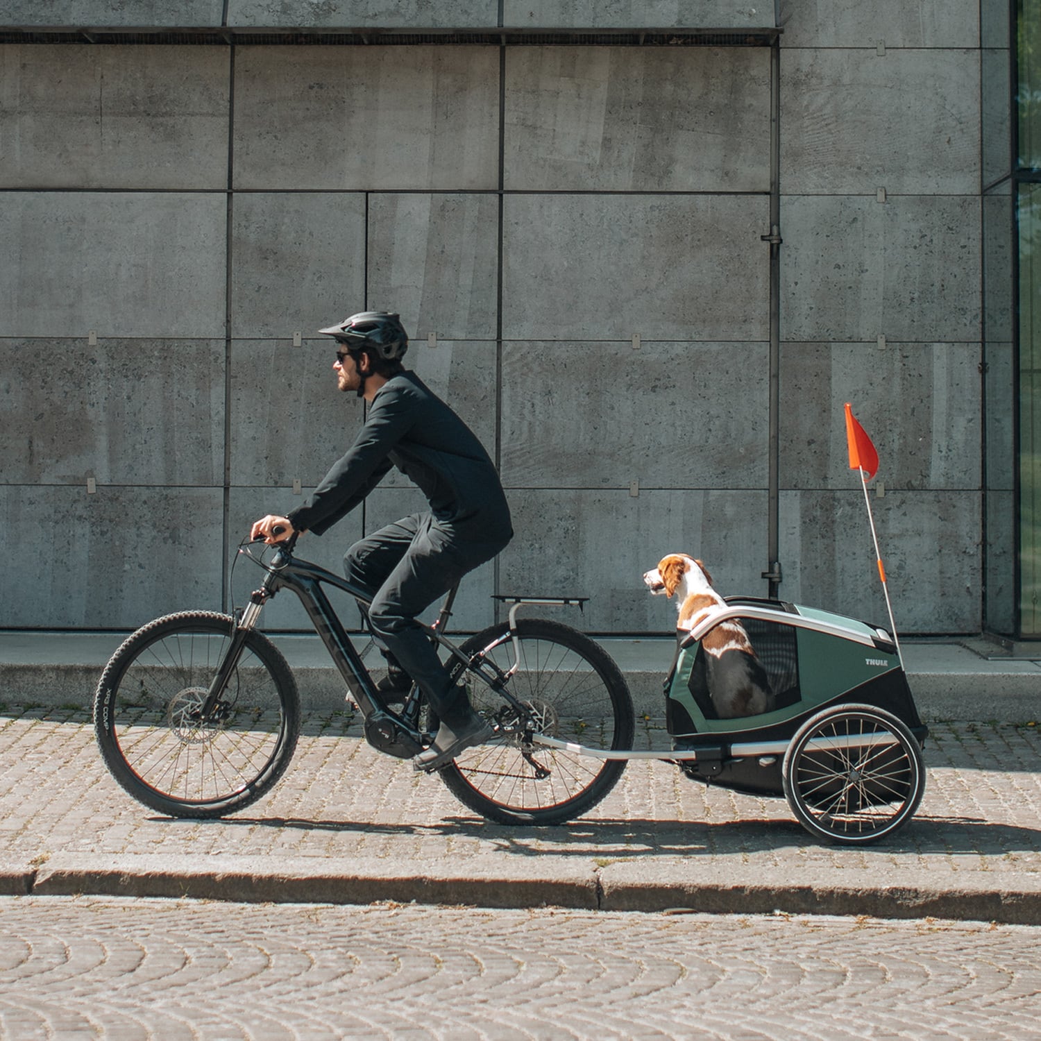 Thule Bexey（スーリー ベクシー）犬用サイクルトレーラー_Mサイズ
