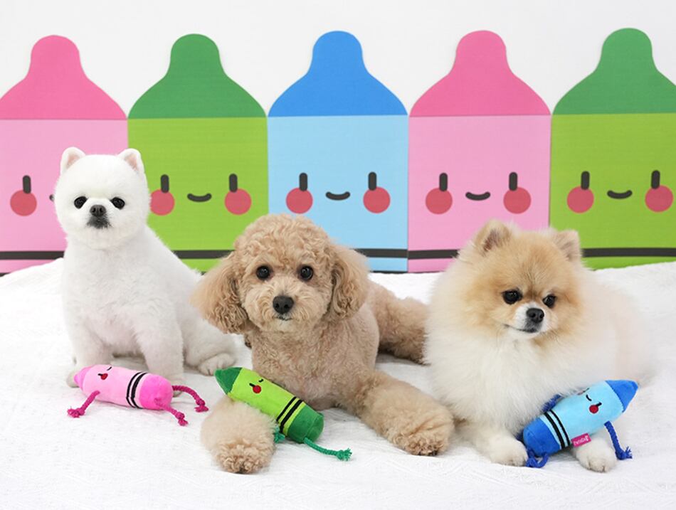 crayon toy / ペット 犬 おもちゃ 噛む 音が鳴る ロープ 知育玩具 鳴き笛入り 可愛い わんちゃん おもちゃ ストレス解消 韓国 ペット用品 toy18