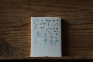 『さみしいときは青青青青青青青』寺山修司
