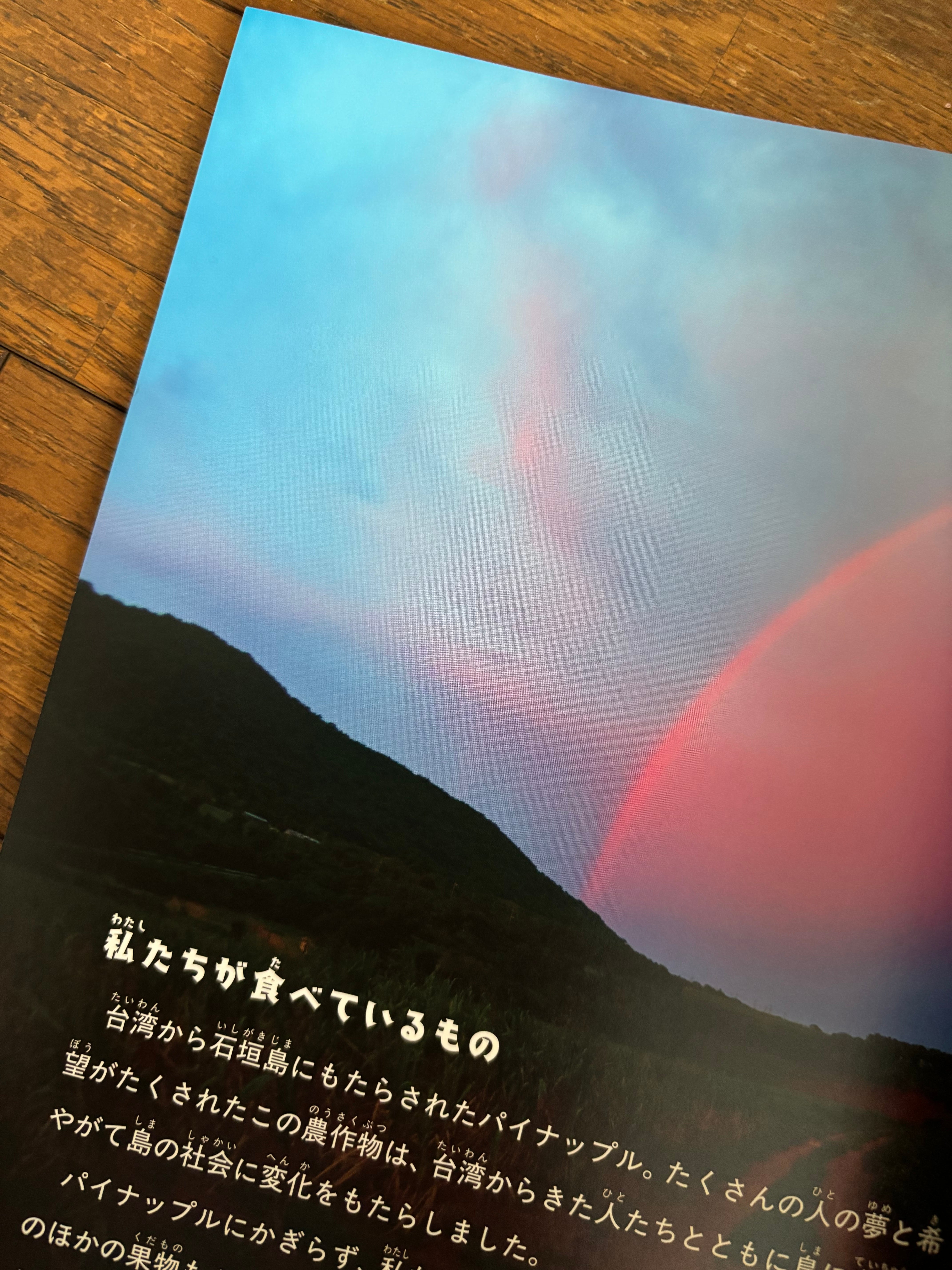 パイナップルに見た夢（月刊たくさんのふしぎ2025年7月号） | ほんの