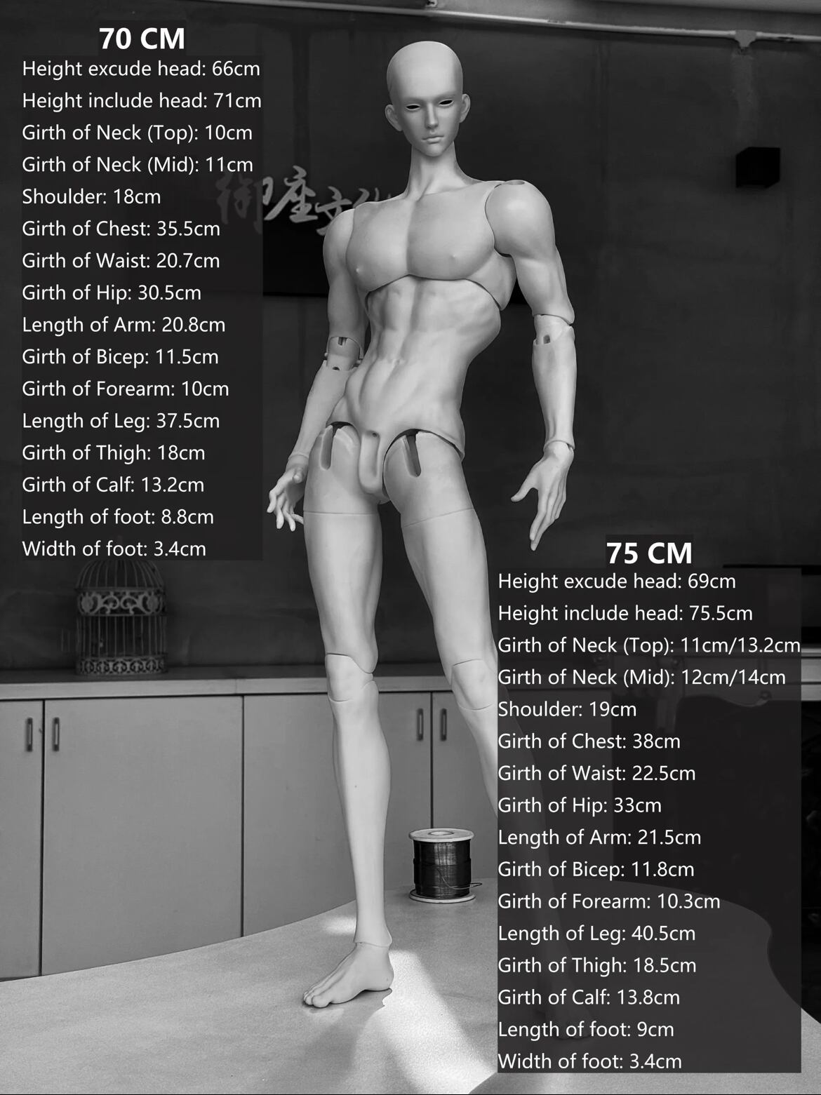70cmタン系）◇Ringdoll◇RGMbody-07◇受注決済専用】 | ドール