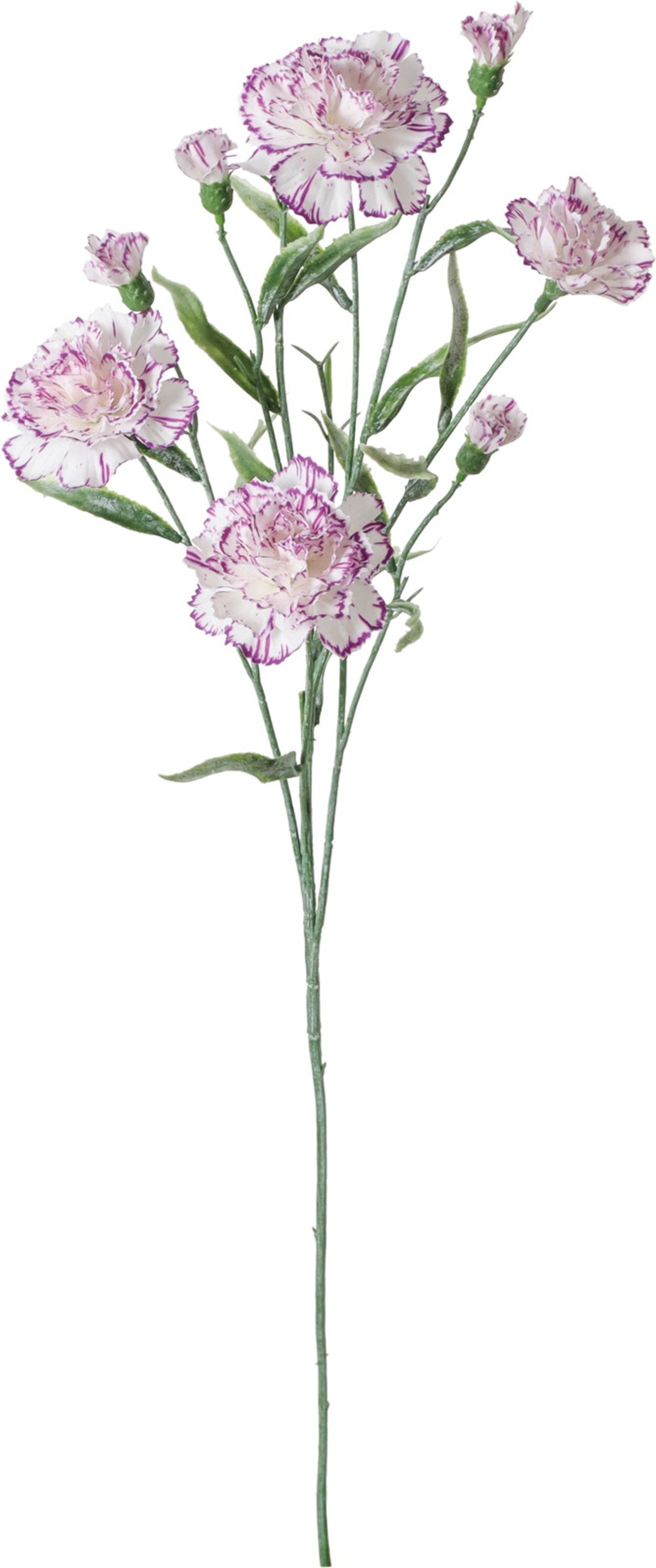 アリシアカーネーションスプレー　FA-7597 WPU　4961823155130