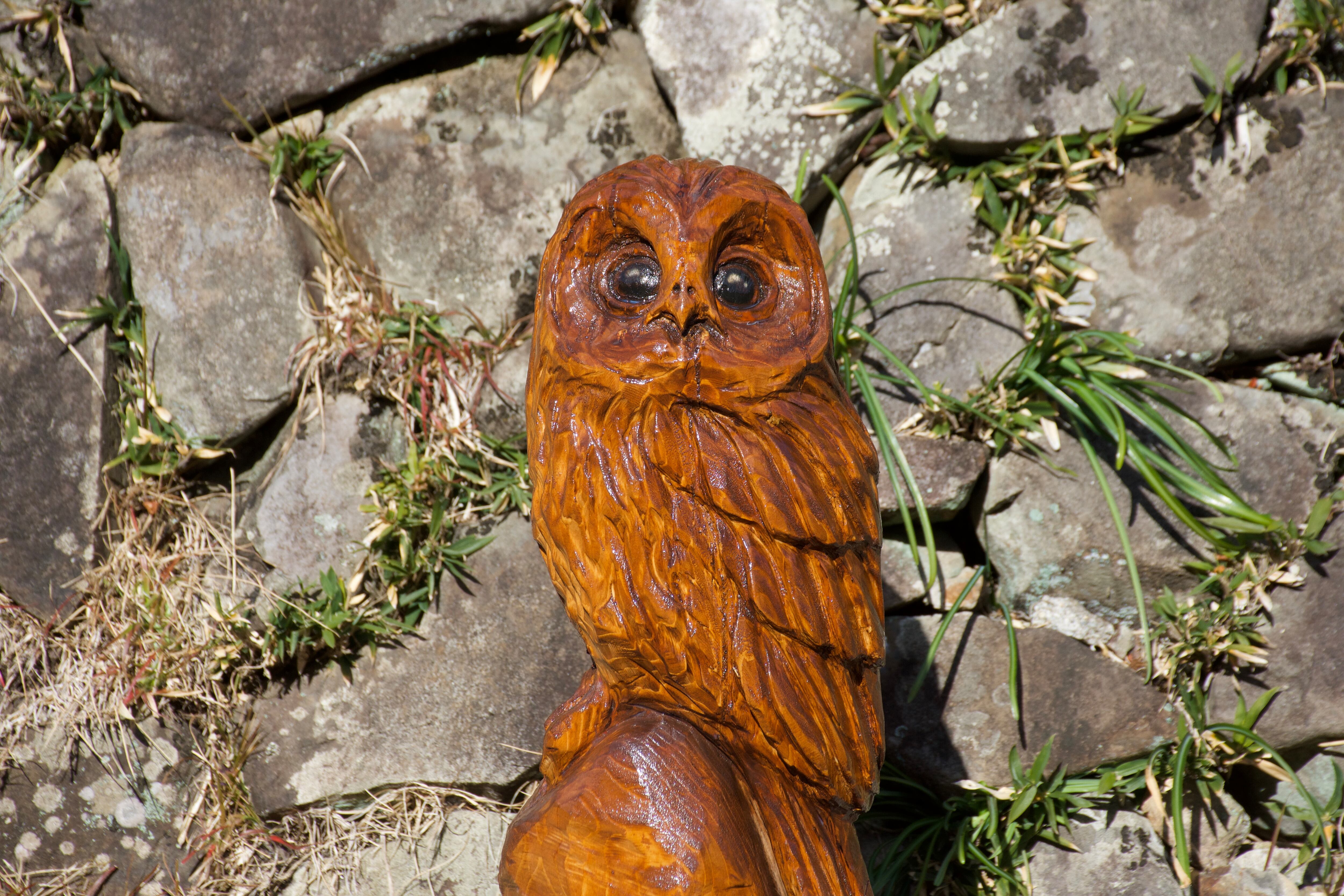 フクロウ チェーンソーアート彫刻作品 | チェンソーアート彫哲ショップ