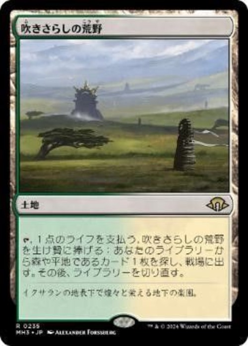 MTG《吹きさらしの荒野/Windswept Heath(MH3)》日本語