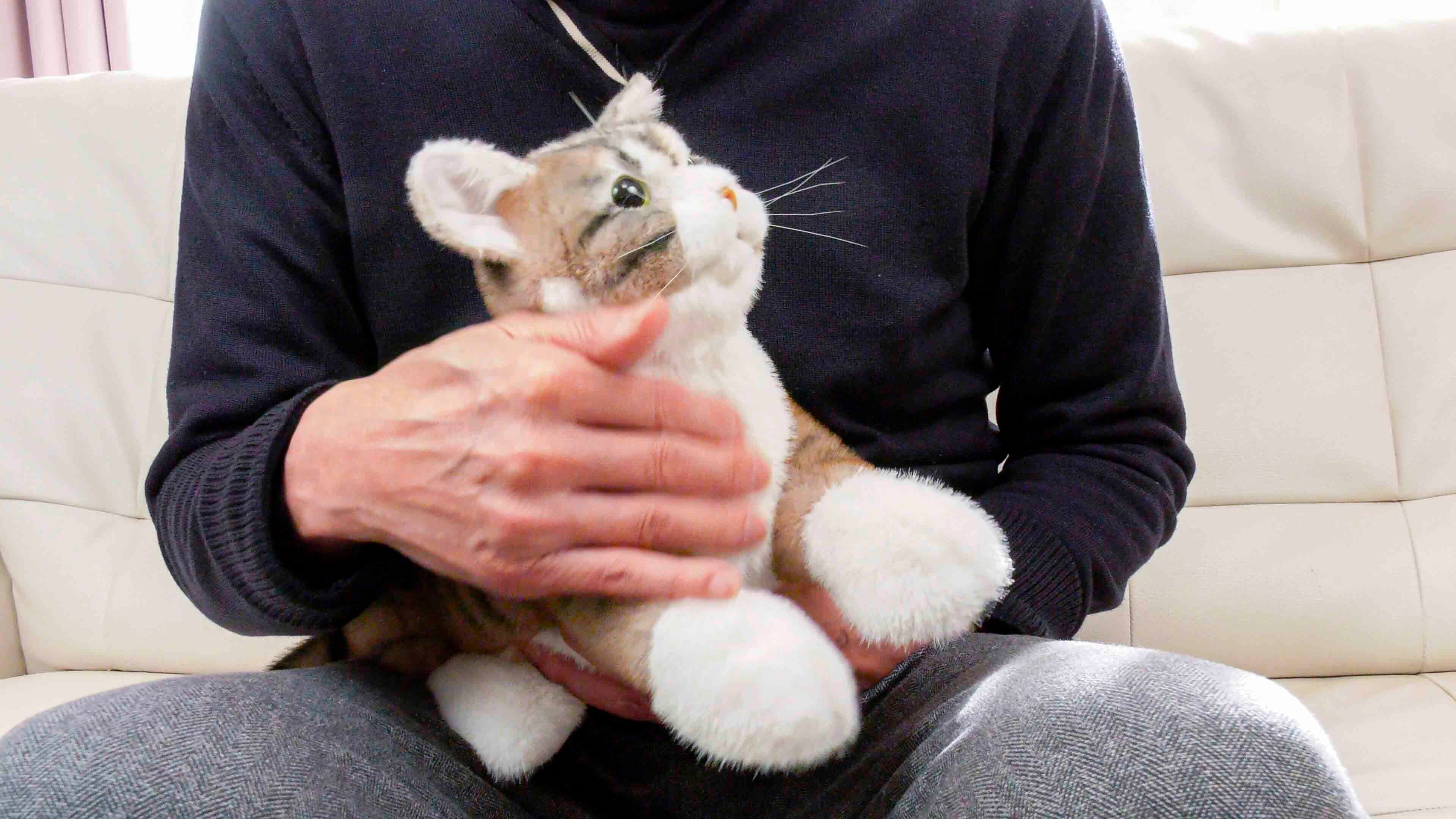 なでなでねこちゃんEX キジトラ | トレンドマスター