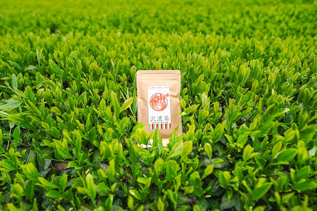 沢渡茶 煎茶 50g