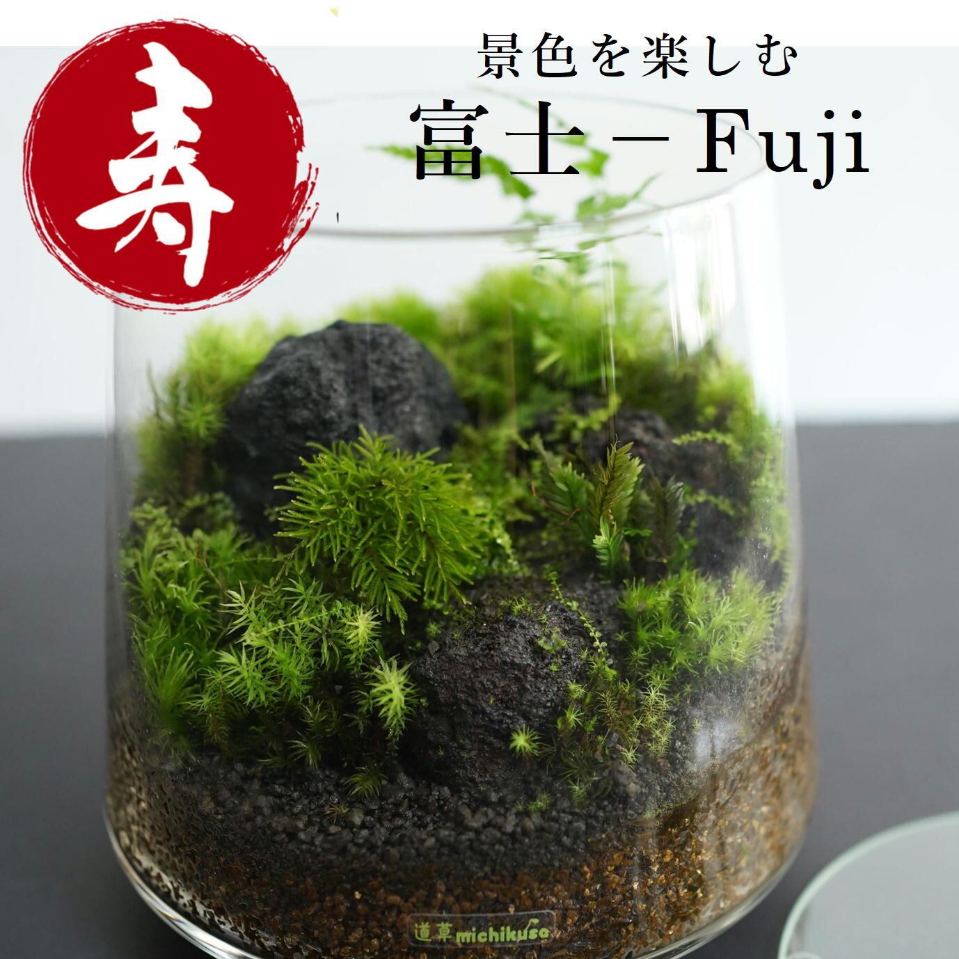 自然の景色 | 苔テラリウム専門ショップ道草