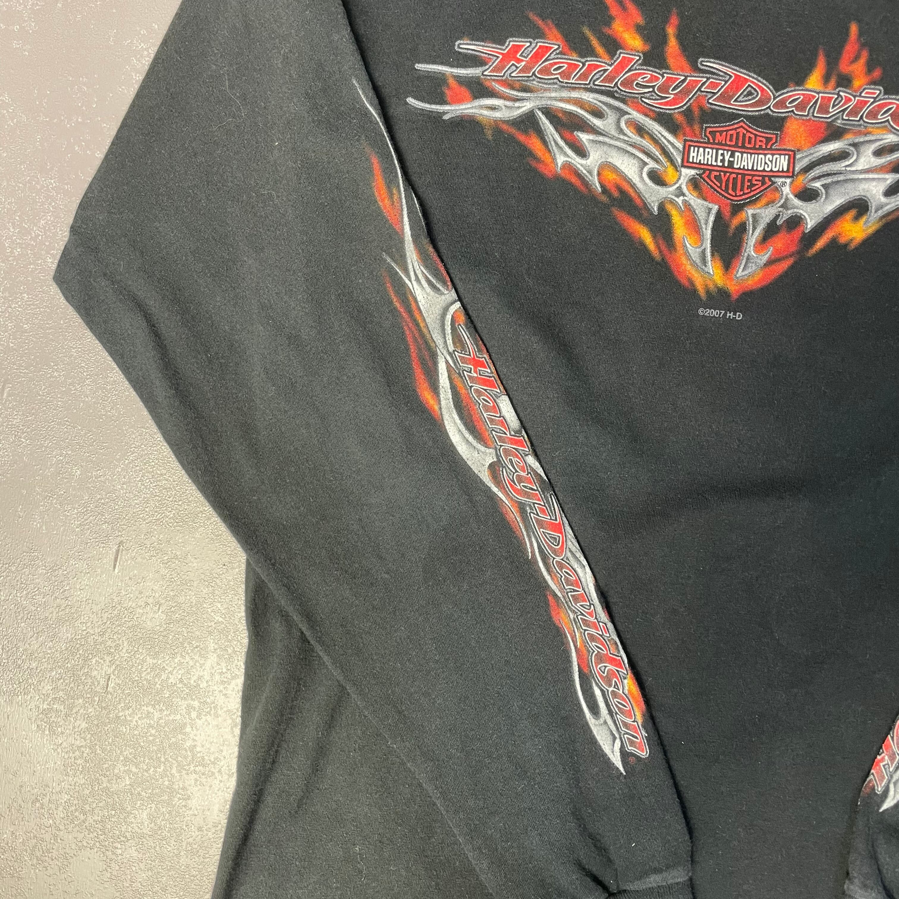 ハーレーダビッドソン 袖ロゴバックプリントロンT