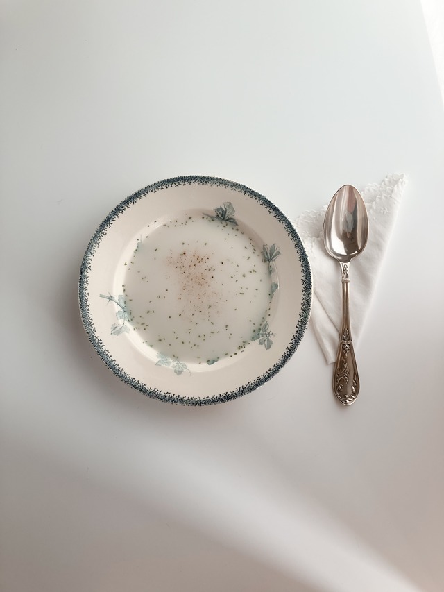 antique soup plate U&C SARREGUEMINES groseille Ⅰ