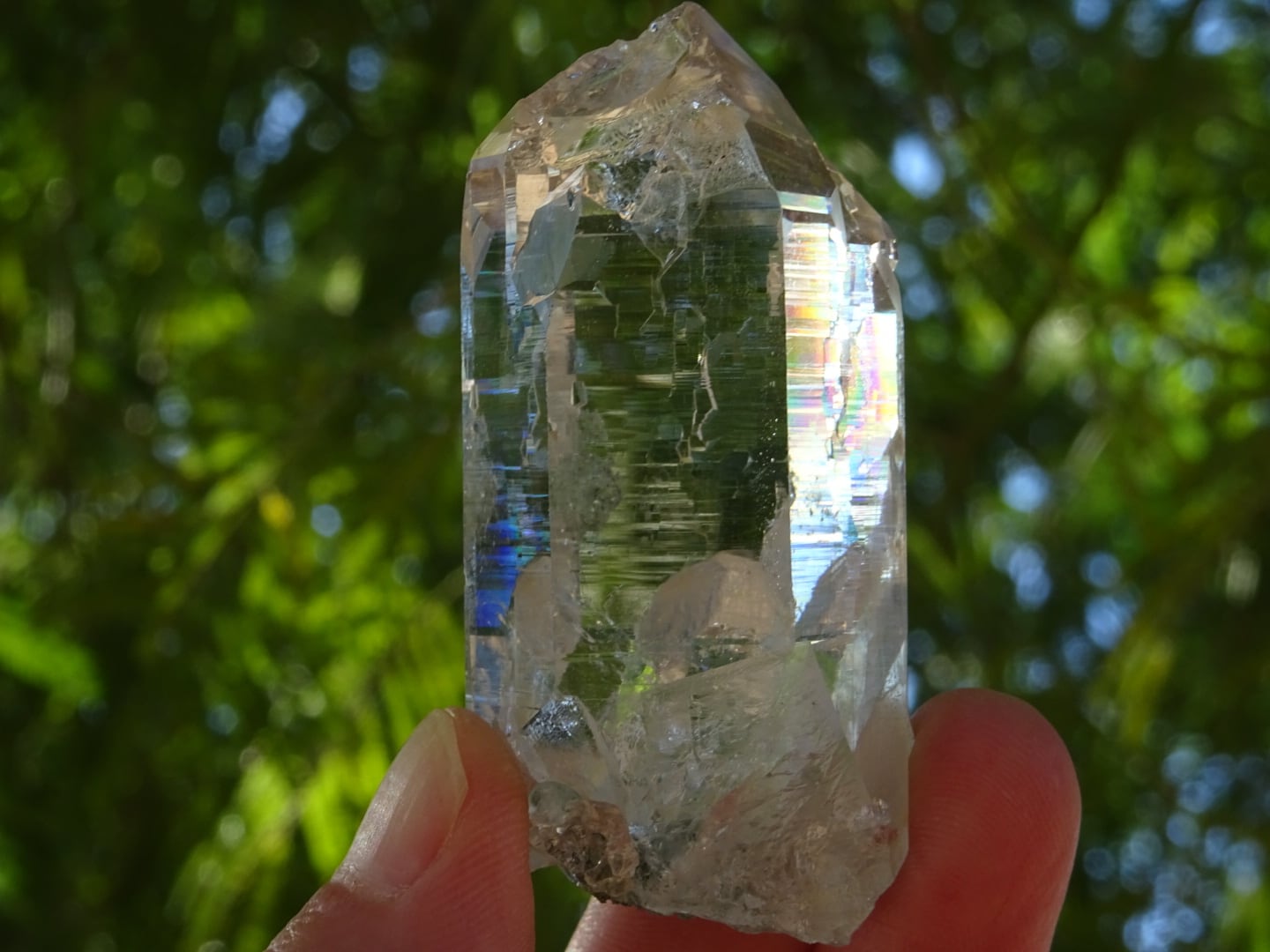 インド メルー産 クリアポイント メルーの水晶（High Quality） ~透明なひかりの天使~ | 虹石屋