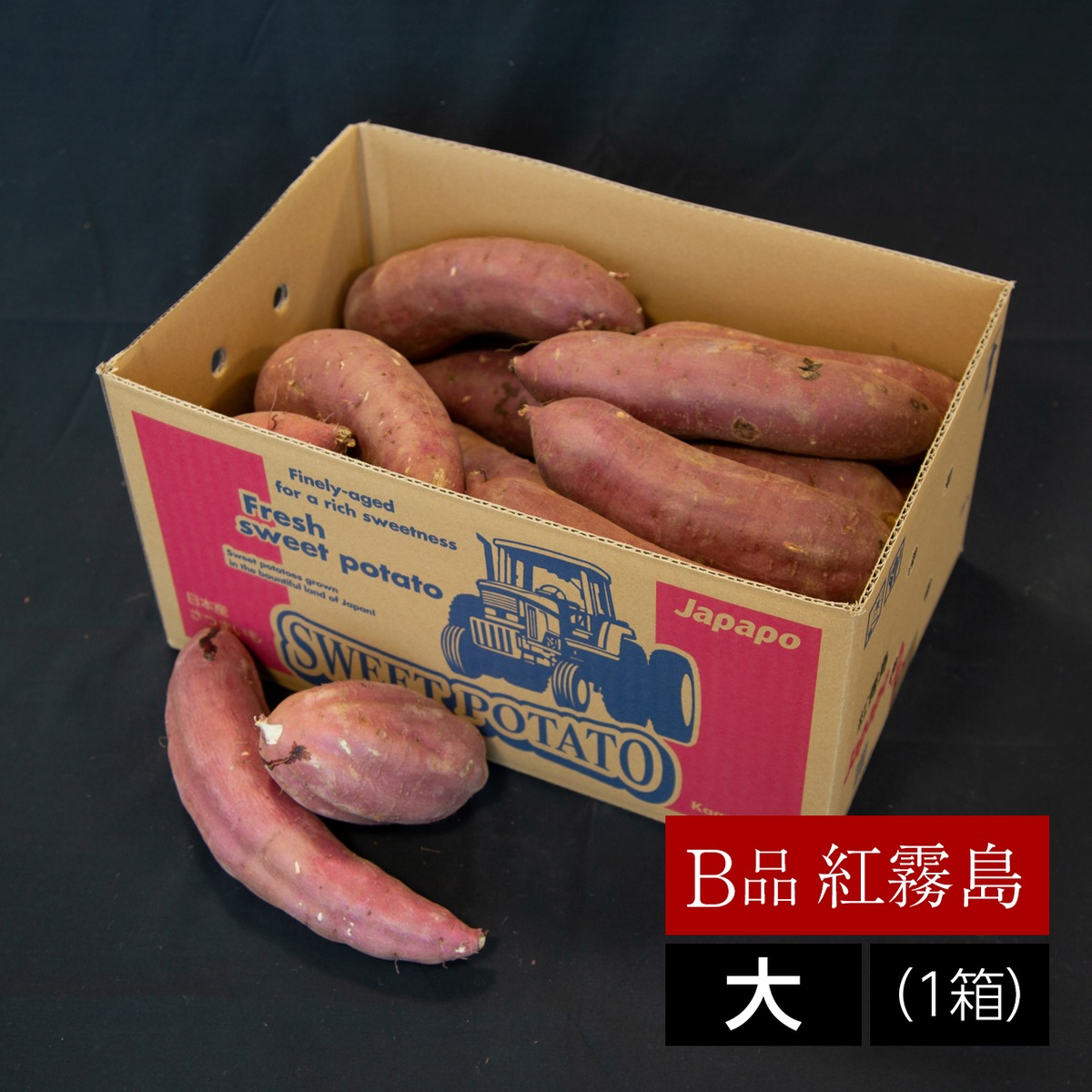 ④丸干しB品10kg 紅はるか B品 さつまいも 紅霧島（紅はるか）【中】