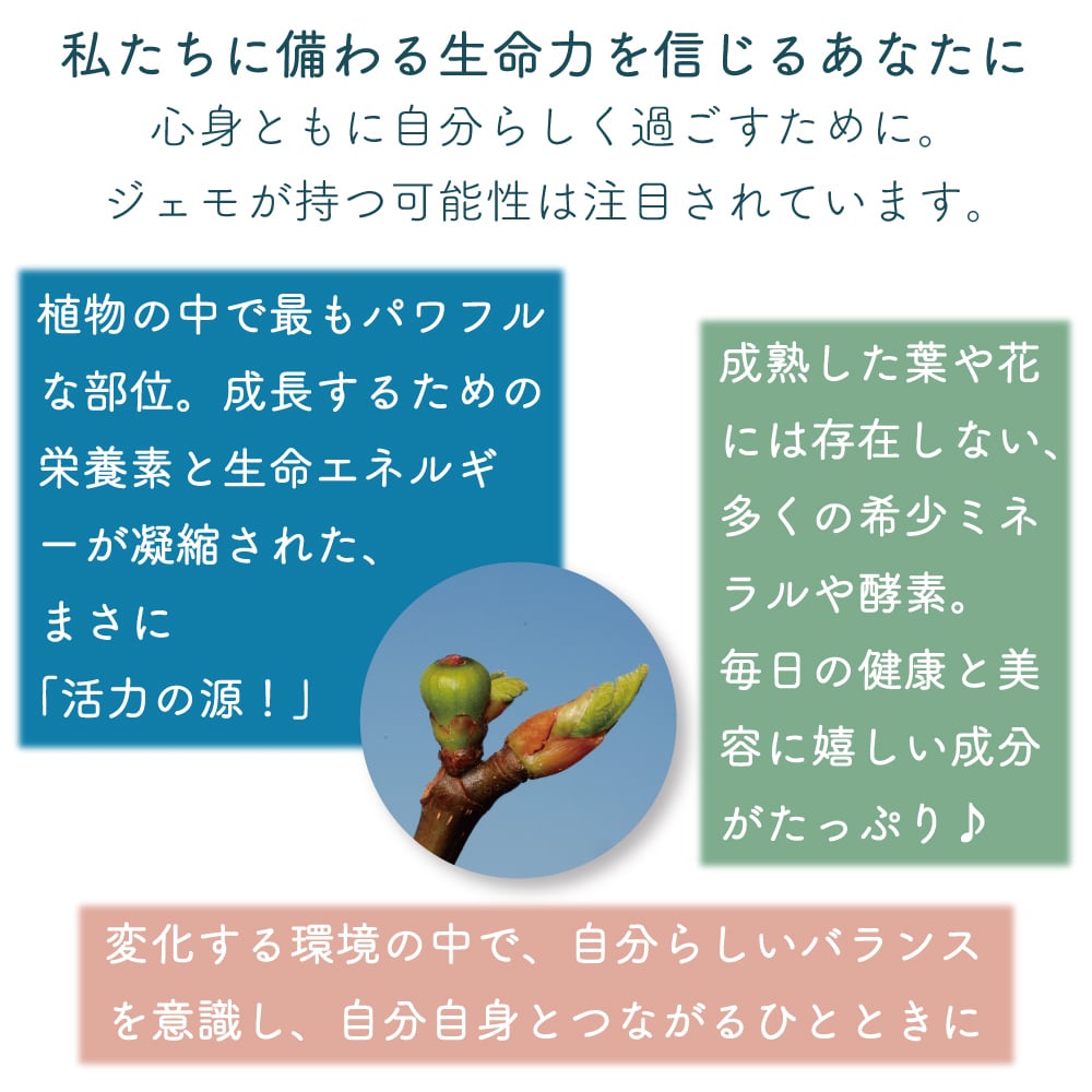シノリス 鼻呼吸 香りを楽しめる喜びを 50ml 鼻耳の違和感 ムズムズ
