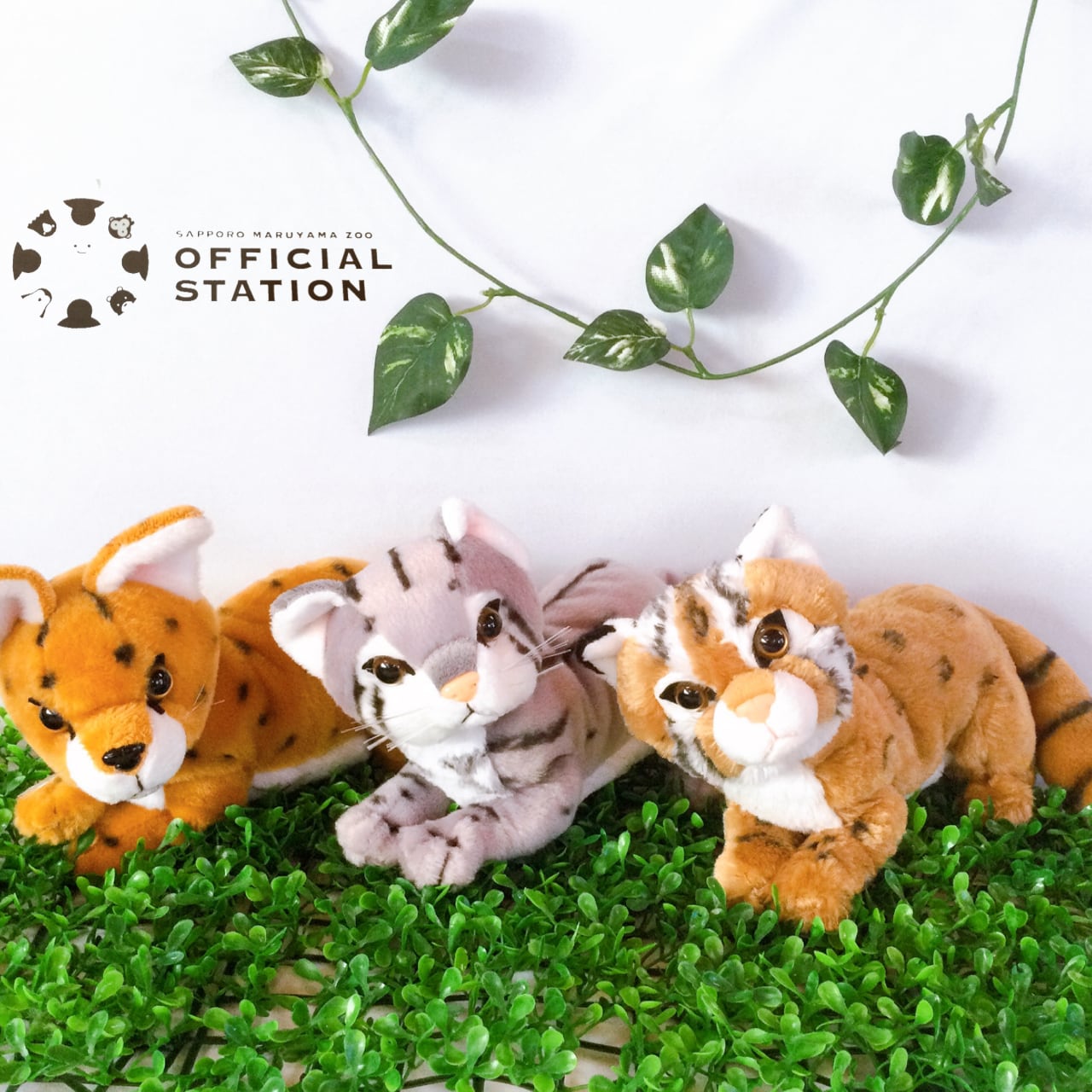 ねこちゃんインテリア食玩 日本の動物.ツシマヤマネコ 青白