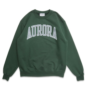 古着 チャンピオン Champion カレッジ プリントスウェット トレーナー グリーン 表記：M　gd408885n w60324