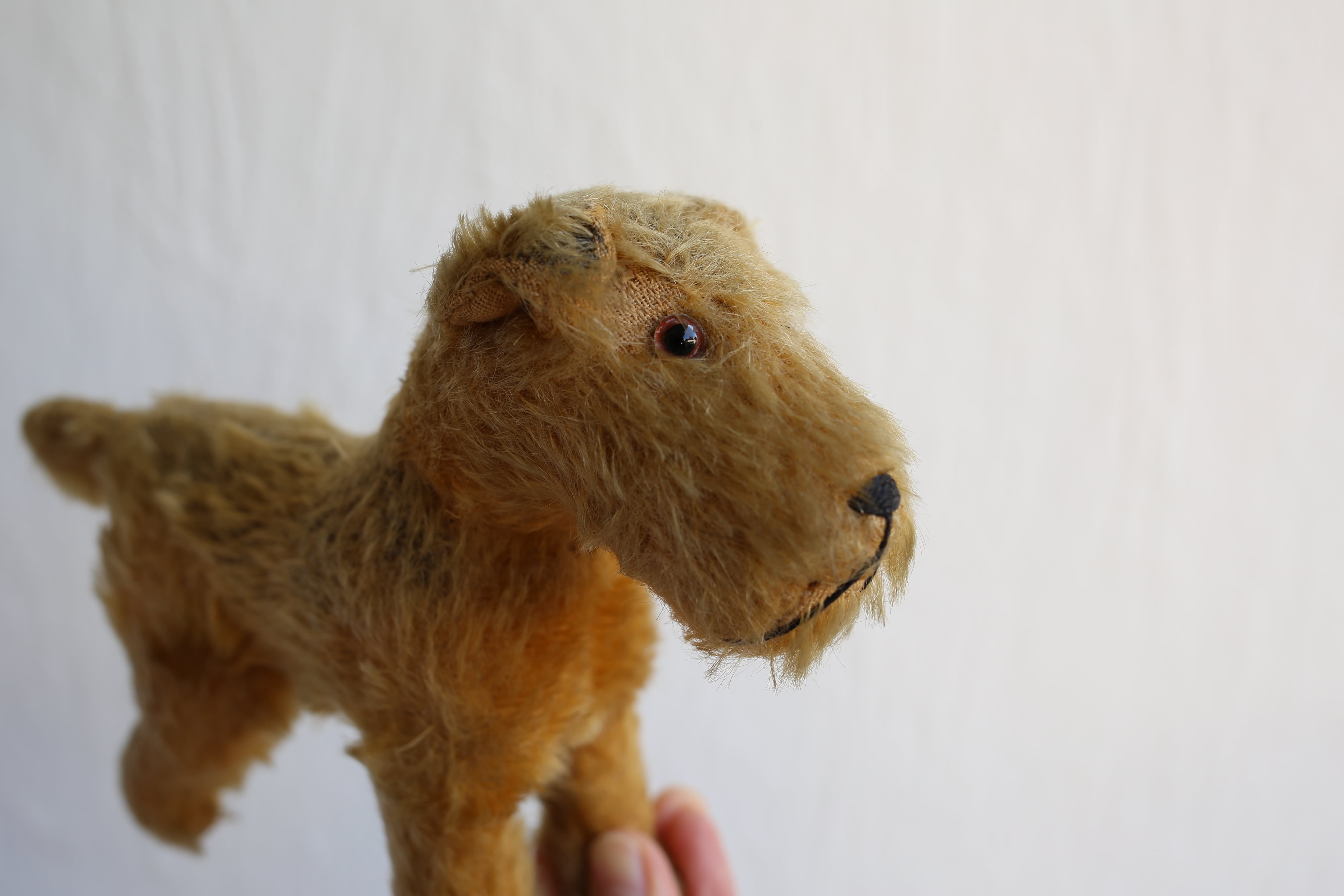 フランス アンティーク ヴィンテージ 犬のぬいぐるみ テリア | EMUPARIS