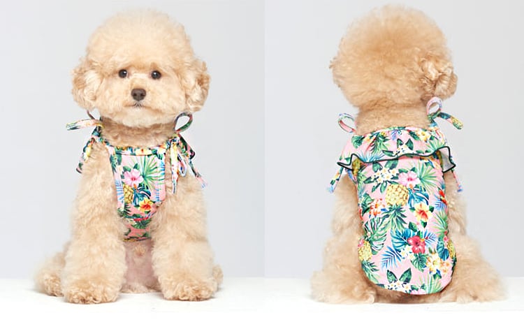【SALE】ハワイフリル水着ＵＶカット S ~ XL 3color / 犬服 犬の服 犬 ドッグウェア 小型犬 中型犬 ペット洋服