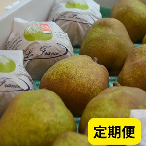 【毎月届く定期便】野菜ソムリエ上級Proが毎月厳選‼ 山形の恵み定期便♪