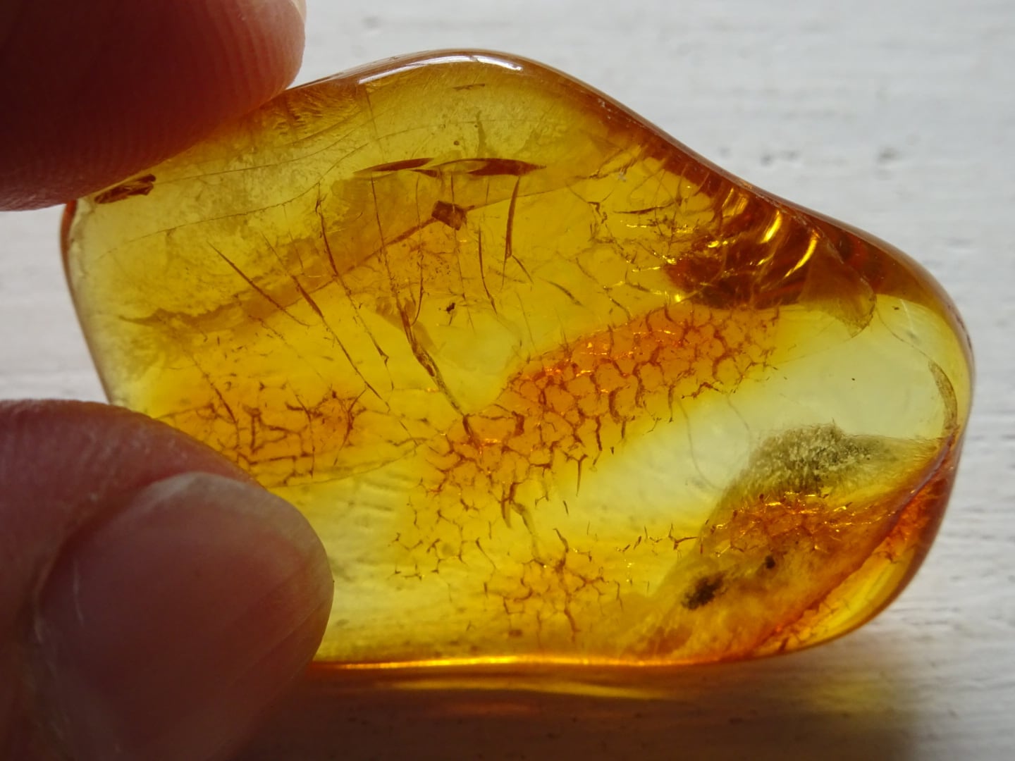 すっごい綺麗な琥珀たん！バルト海の天然琥珀たん！綺麗！ すっごい綺麗な琥珀たん！バルト海の天然琥珀たん！綺麗！ すっごい