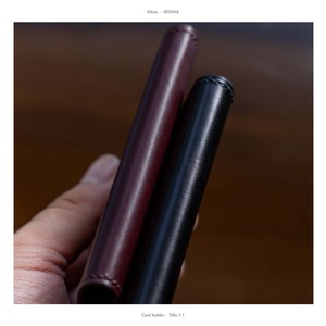 Titlis 1.1  /  Cardcase