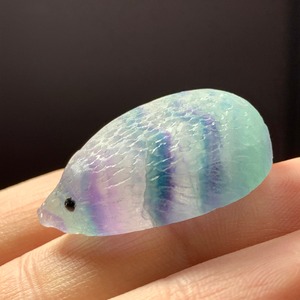 91色合い綺麗なフローライトハリネズミさん