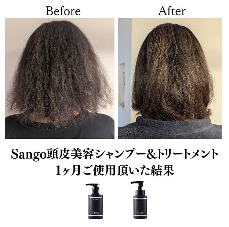 ヘアケア Sangoヒト幹細胞頭皮美容シャンプー Sango育毛ヘアシャンプー