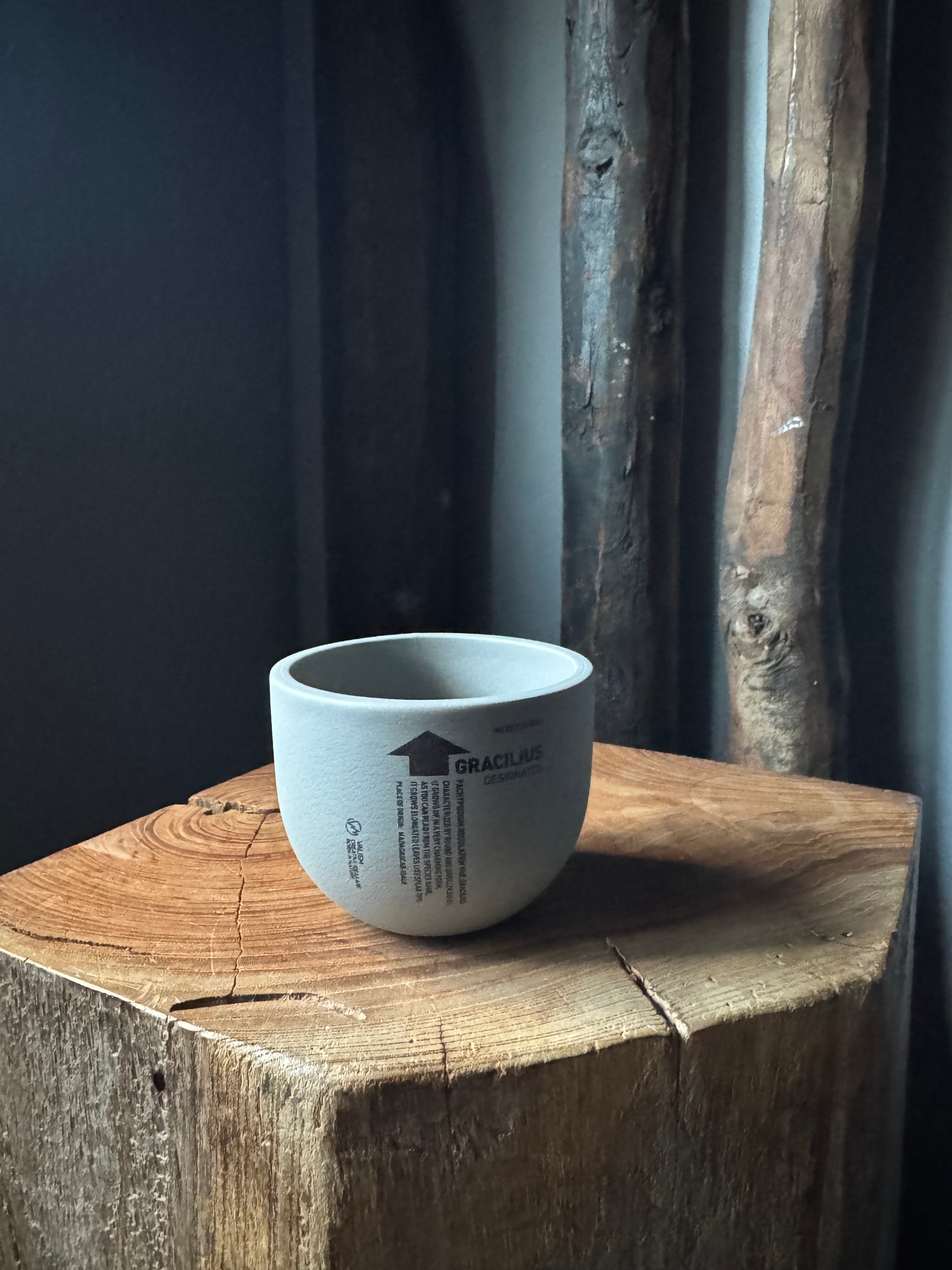 園芸用品 VALIEM aobouzu 別注 青坊主 陶器鉢