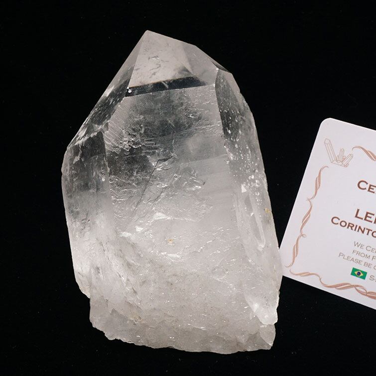 レムリアンシード 水晶 原石 セルフヒールド ブラジル ミナスジェライス州 コリント産 証明書付属 一点物 281-211
