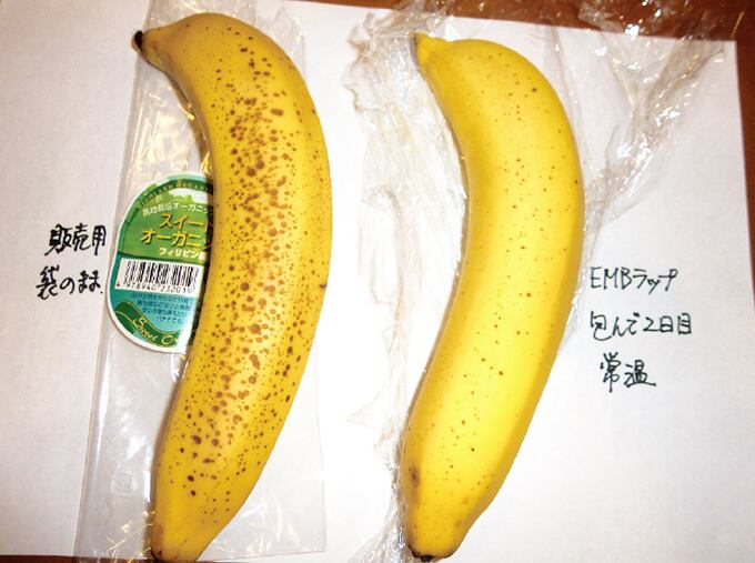 バランスラップ30✖️20