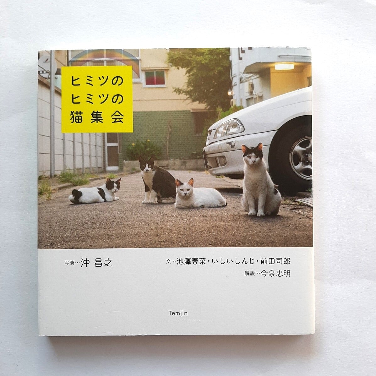 古本）ヒミツのヒミツの猫集会 | ねこのみち