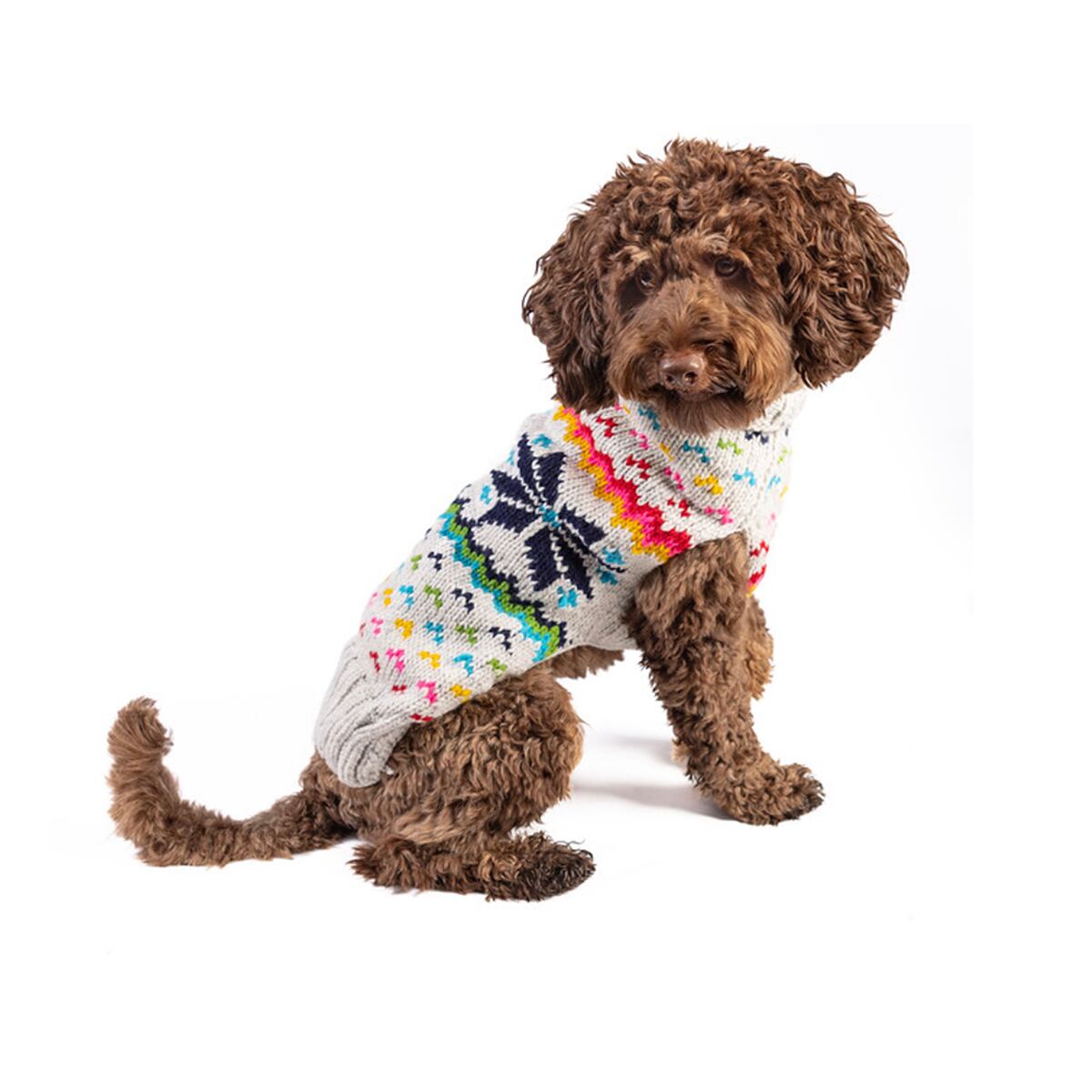 CHILLY DOG チリードッグ | PERRO online shop