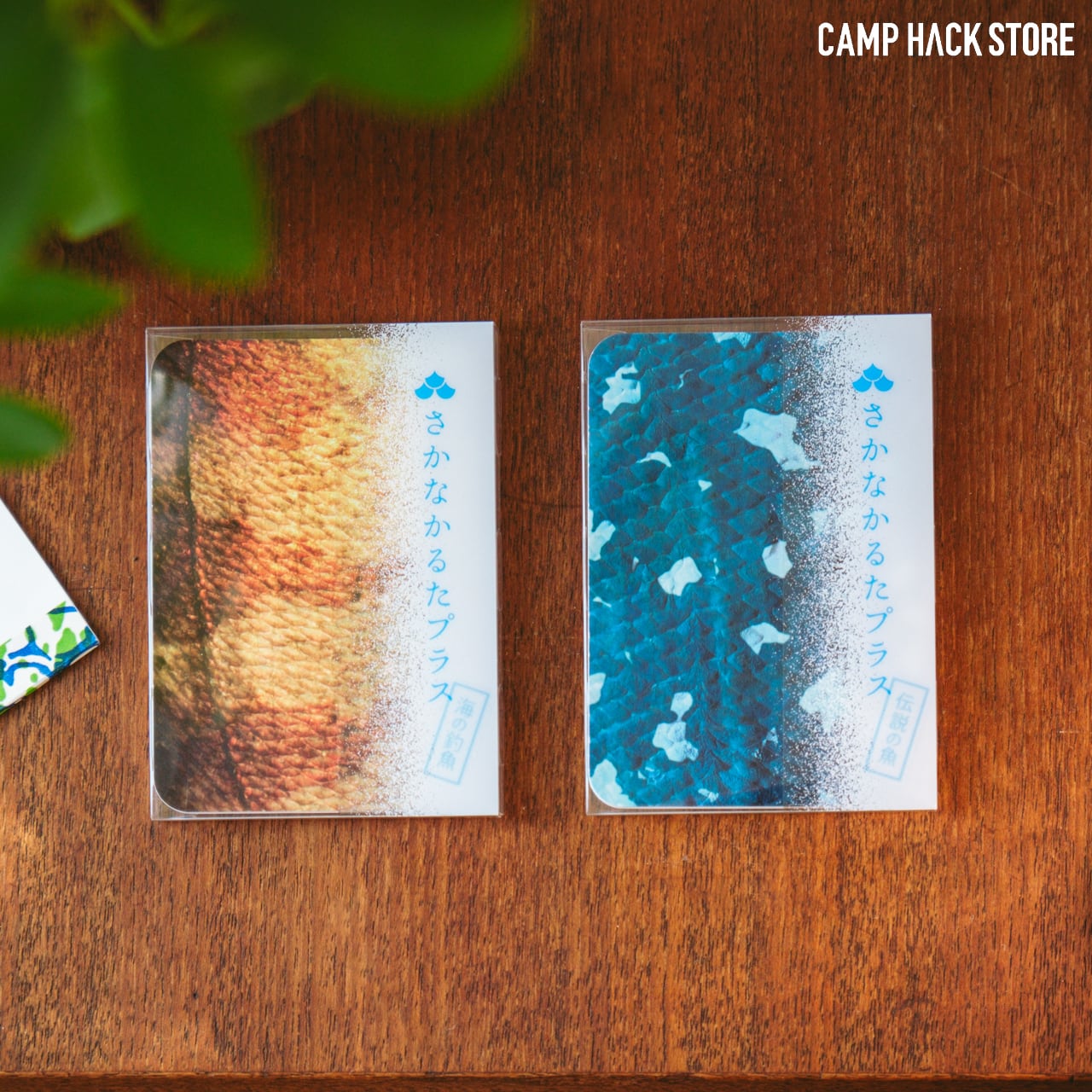 魚種をもっと！「さかなかるたプラス」 | CAMP HACK STORE