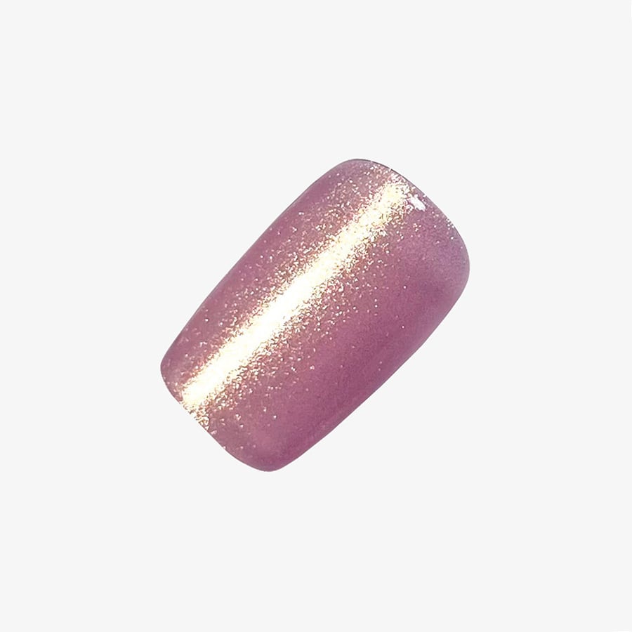 ANCLEF 002RM | morecouture