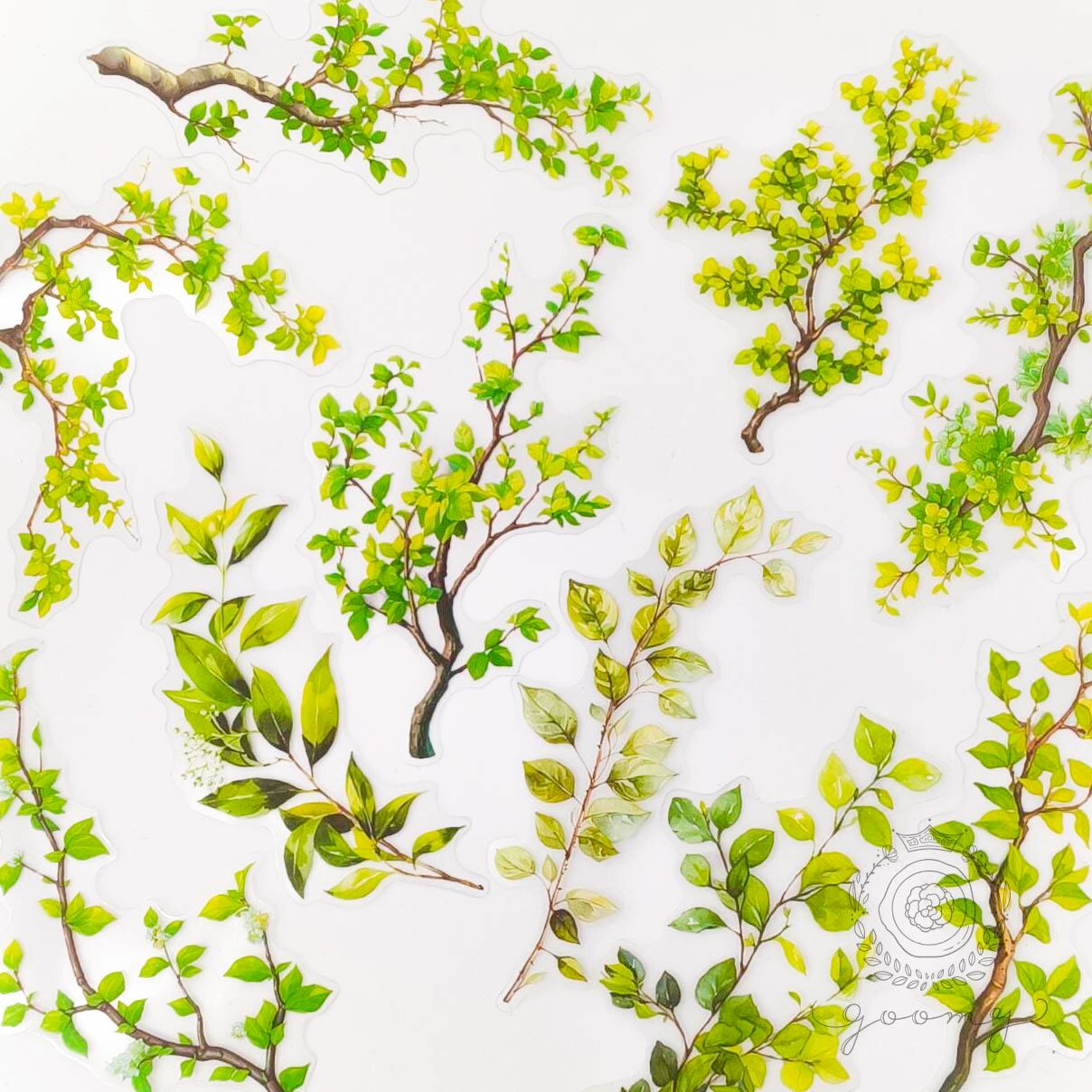 【再入荷】樹木シール グリーン <S893>