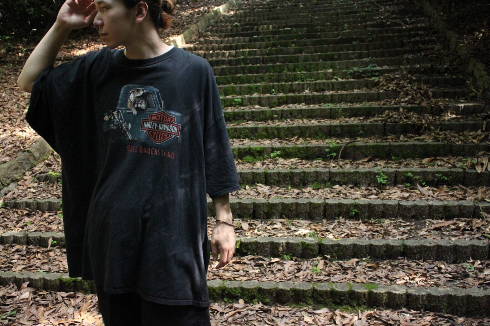 XXXXXXL HARLEY-DAVIDSON S/S print tee