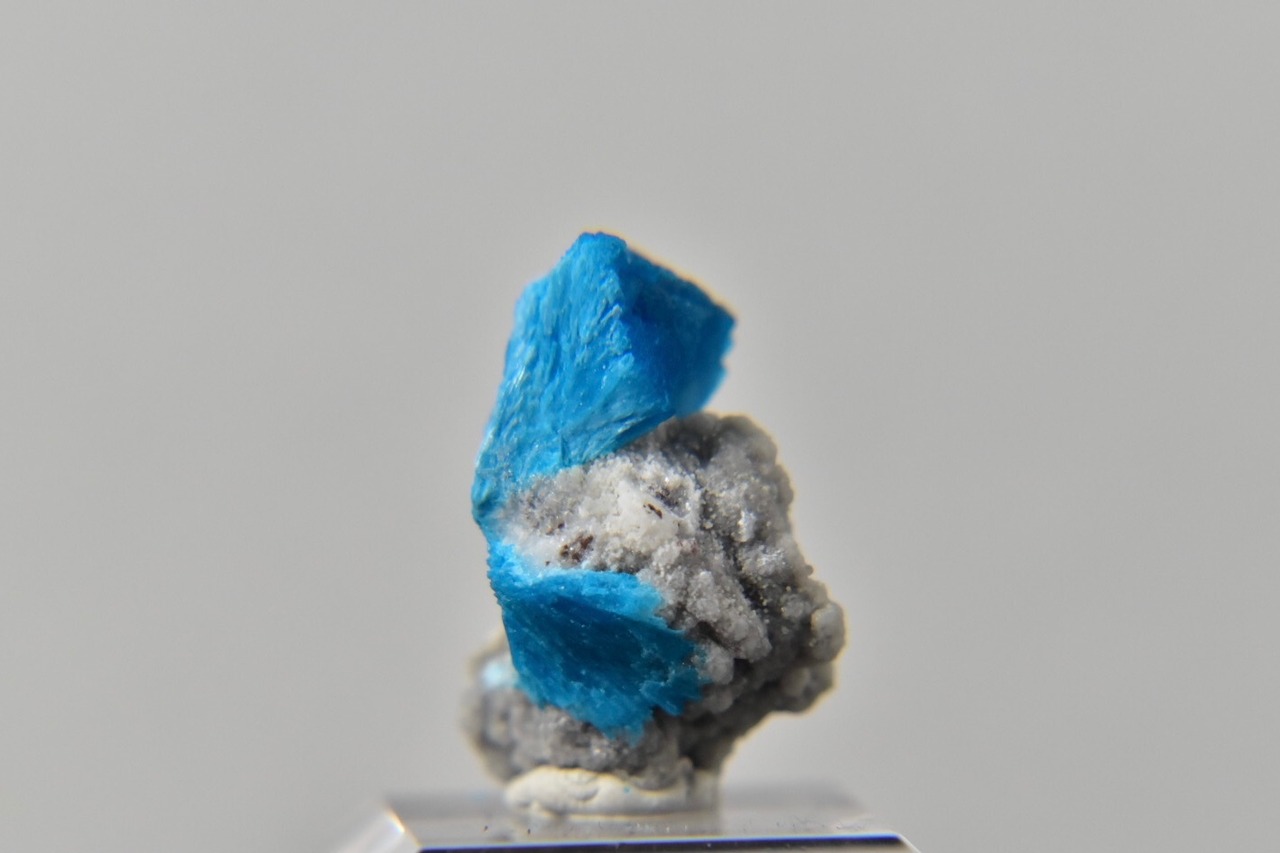 Cavansite with Stillbite