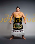 平成１３年７月場所優勝　大関　魁皇博之関（３回目の優勝）
