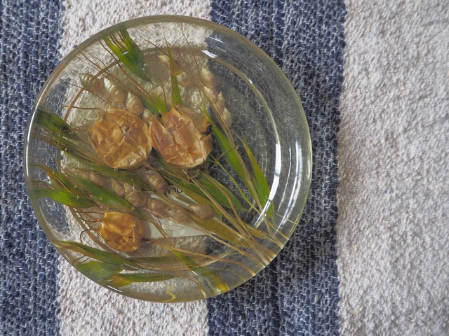 ITALY Chiurato small plate