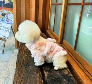 ふわふわダウン⭐︎バック付き　S〜2XL